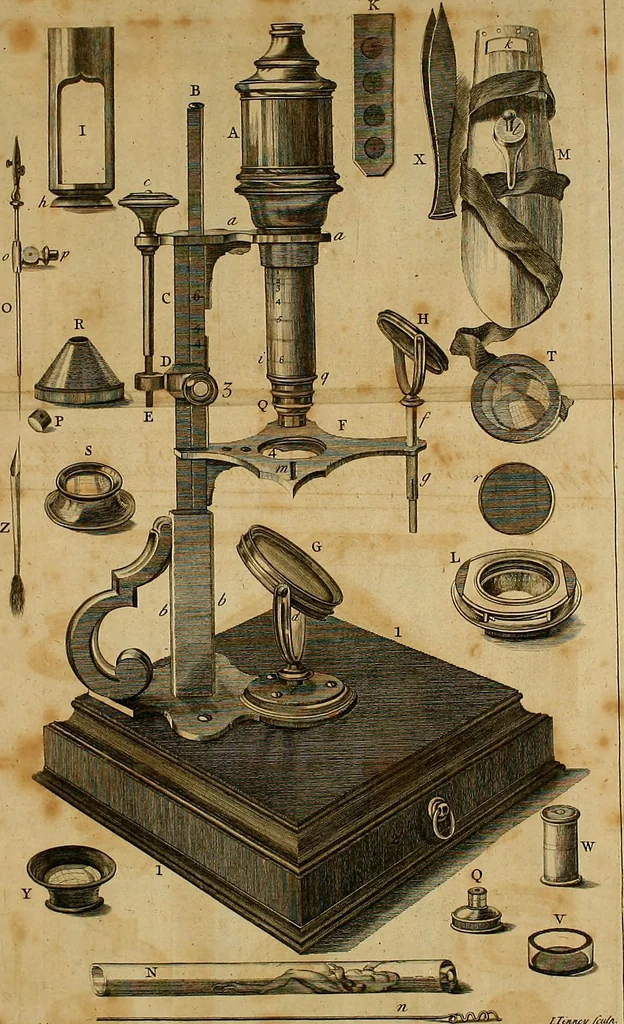 An illustration from Employment for the microscope : in two parts, 1764, leaf 471
