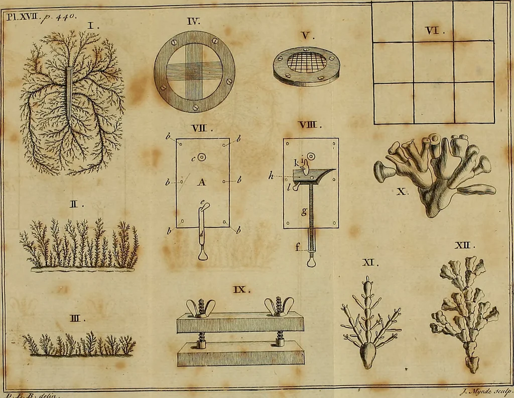 An illustration from Employment for the microscope : in two parts, 1764, leaf 491