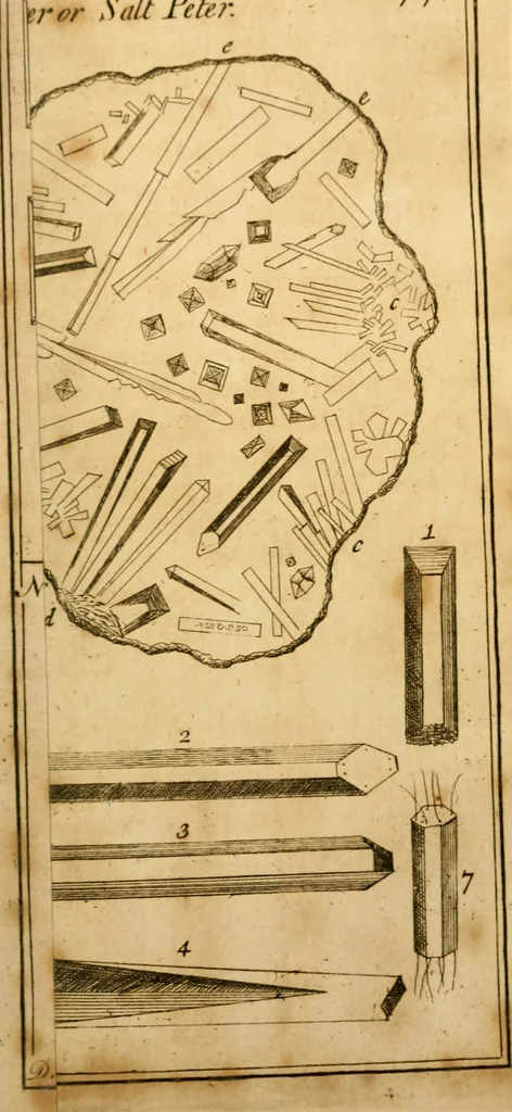 An illustration from Employment for the microscope : in two parts, 1764, leaf 92