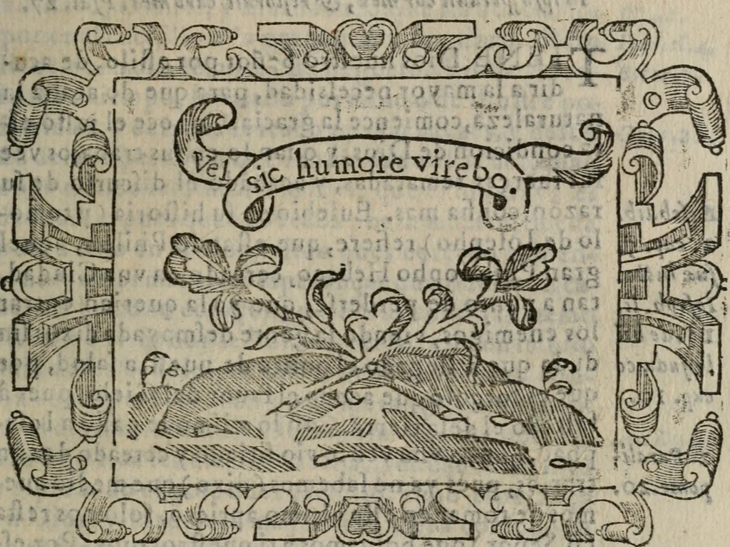 An illustration from Empresas espirituales y morales ..., 1613, leaf 102