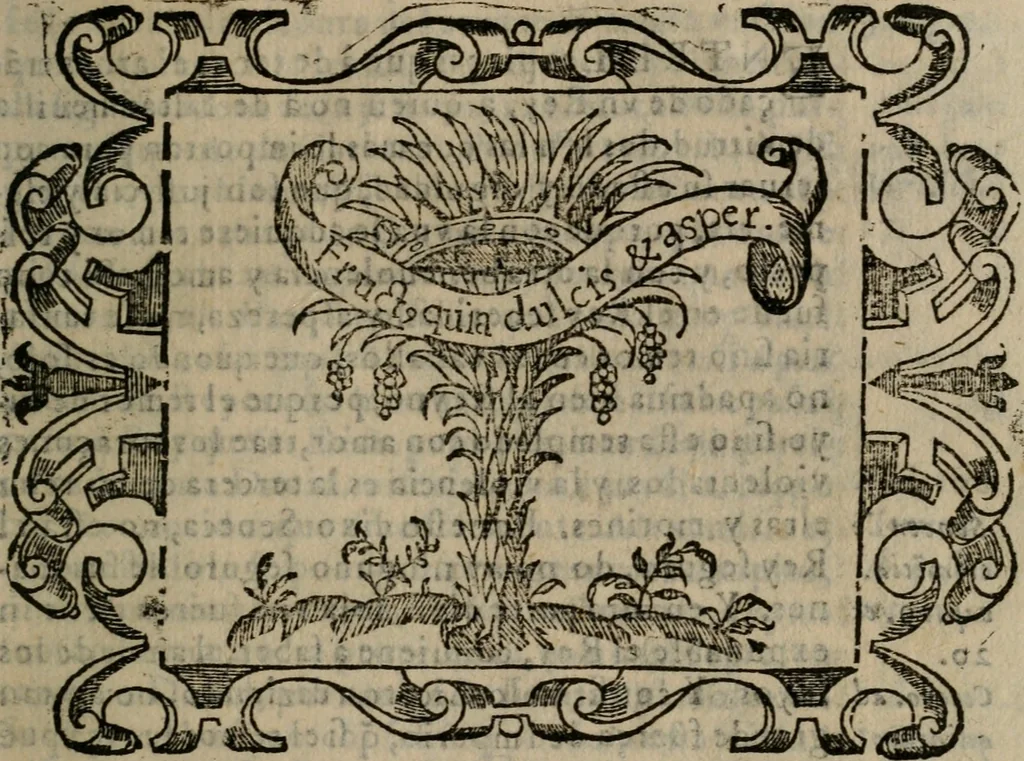 An illustration from Empresas espirituales y morales ..., 1613, leaf 156