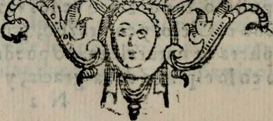 An illustration from Empresas espirituales y morales ..., 1613, leaf 203