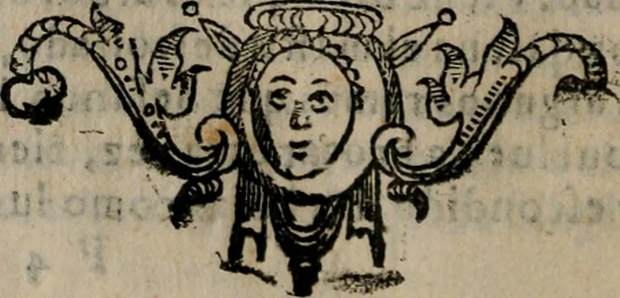An illustration from Empresas espirituales y morales ..., 1613, leaf 239