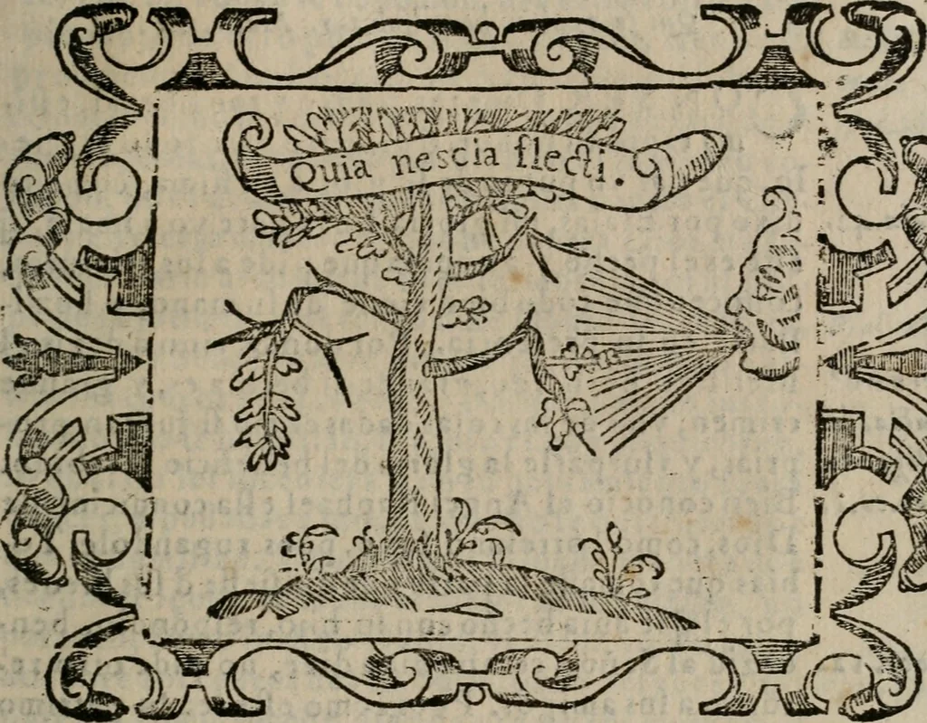 An illustration from Empresas espirituales y morales ..., 1613, leaf 252