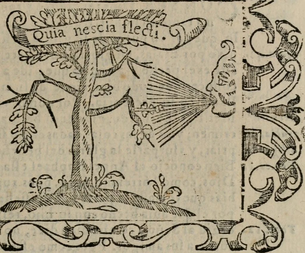 An illustration from Empresas espirituales y morales ..., 1613, leaf 252
