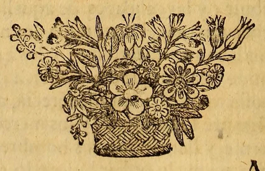 An illustration from Empresas militares de Lusitanos,, 1624, leaf 234