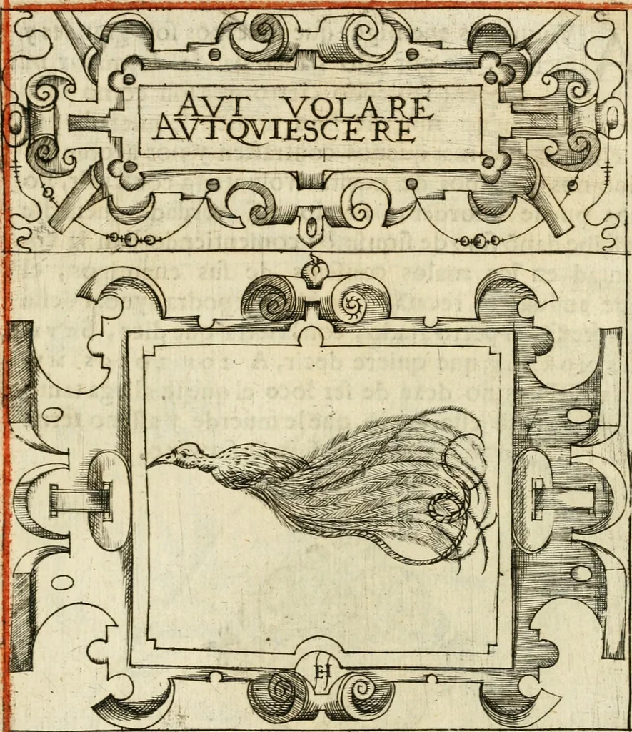 An illustration from Empresas morales, 1581, leaf 106