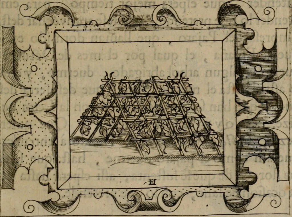 An illustration from Empresas morales, 1680, leaf 176