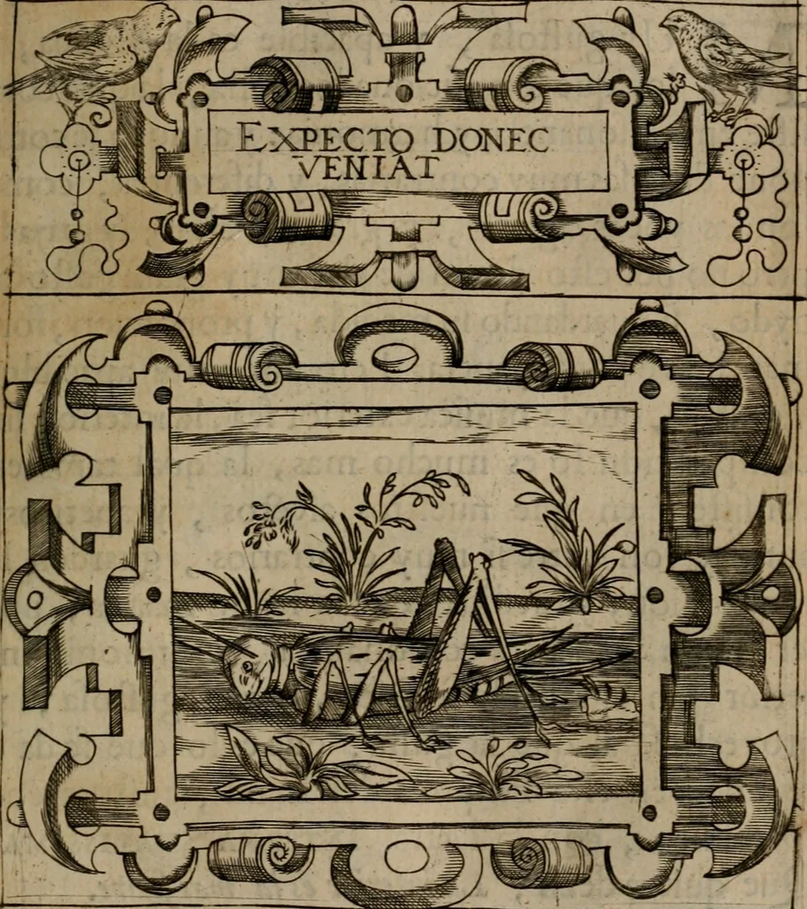 An illustration from Empresas morales, 1680, leaf 196