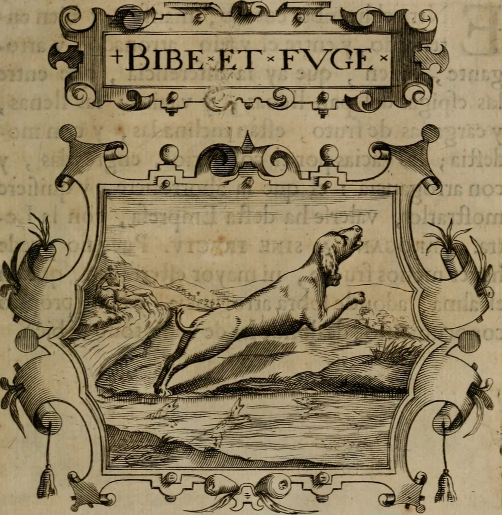 An illustration from Empresas morales, 1680, leaf 234