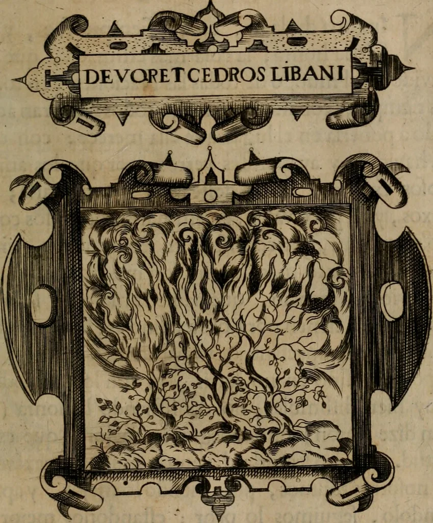 An illustration from Empresas morales, 1680, leaf 238