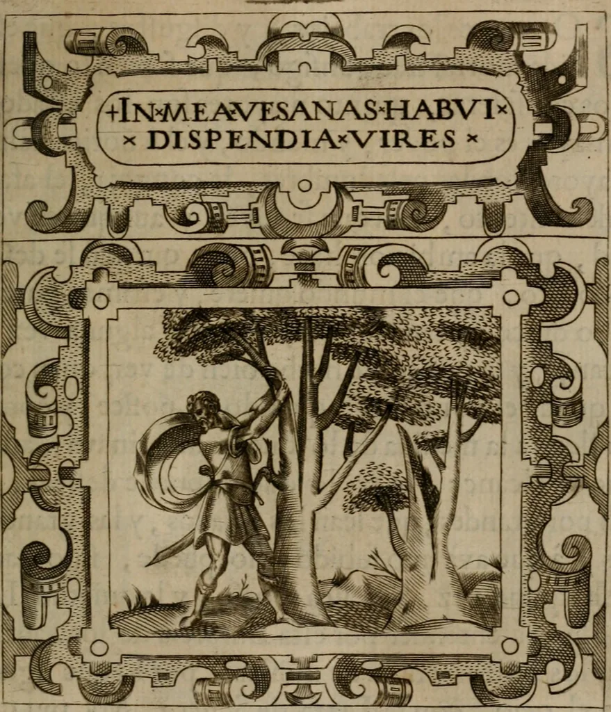 An illustration from Empresas morales, 1680, leaf 286