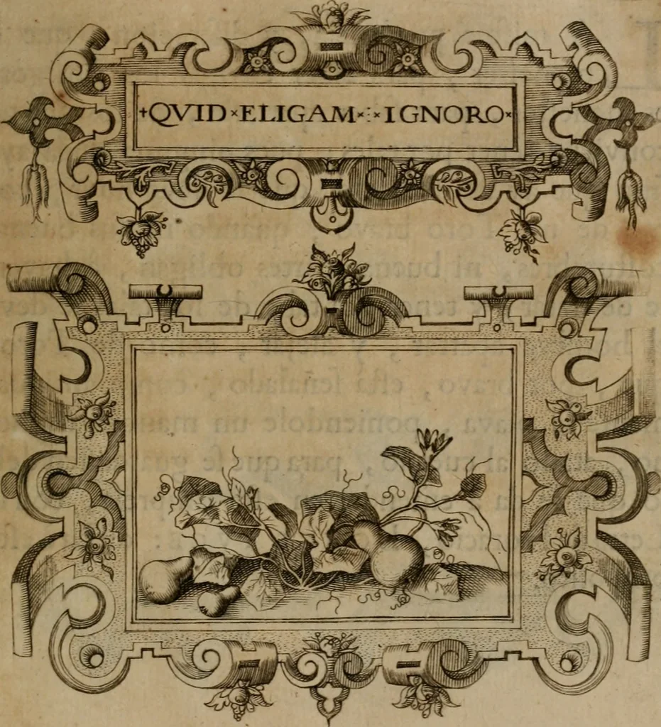 An illustration from Empresas morales, 1680, leaf 316
