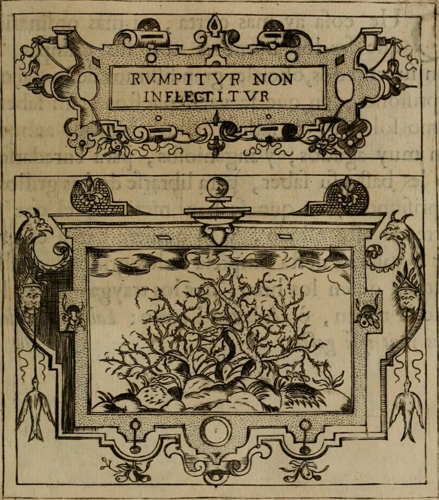 An illustration from Empresas morales, 1680, leaf 322