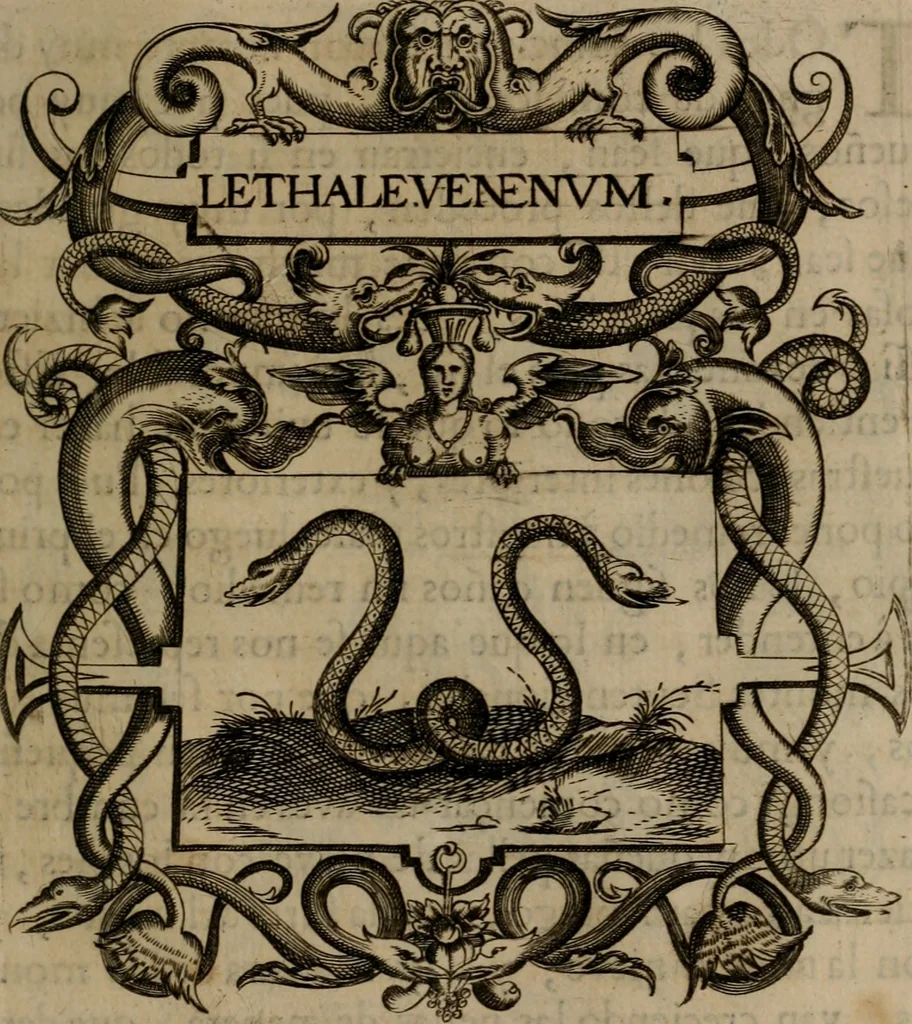 An illustration from Empresas morales, 1680, leaf 330