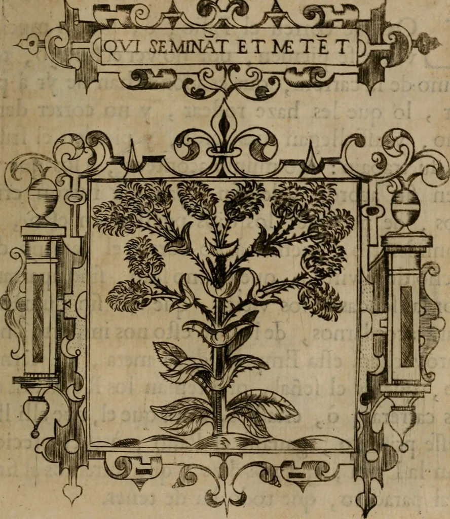 An illustration from Empresas morales, 1680, leaf 334