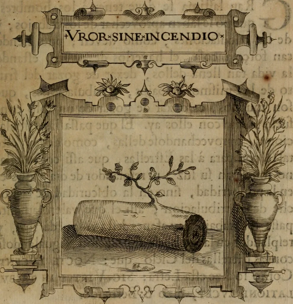 An illustration from Empresas morales, 1680, leaf 342