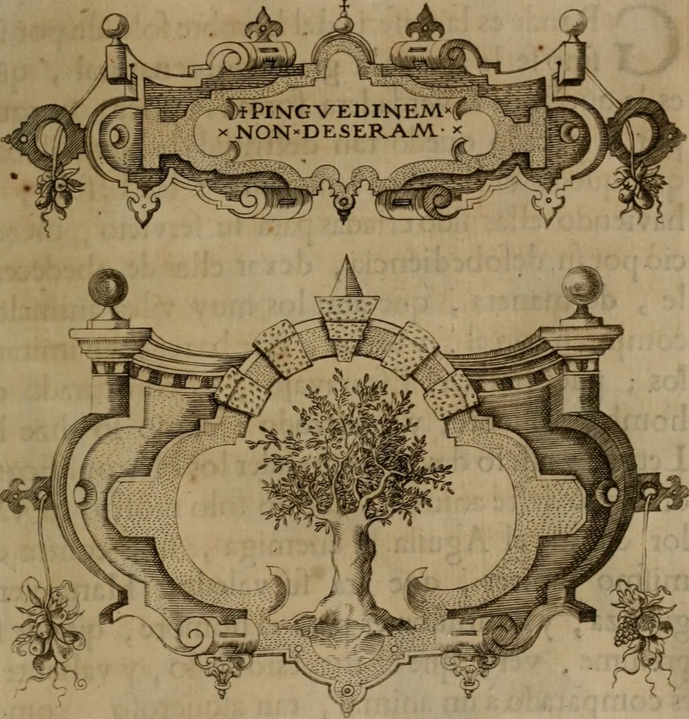 An illustration from Empresas morales, 1680, leaf 356