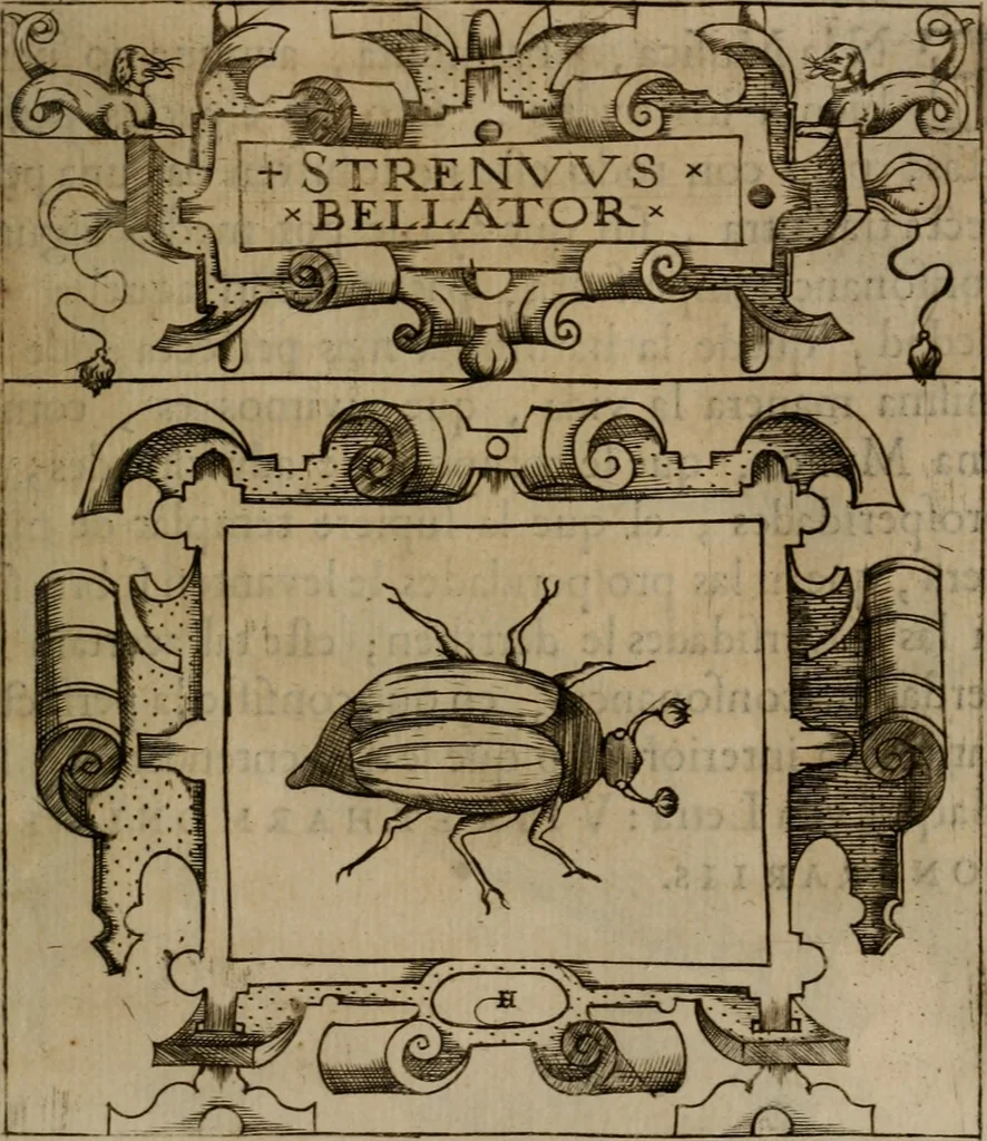 An illustration from Empresas morales, 1680, leaf 358