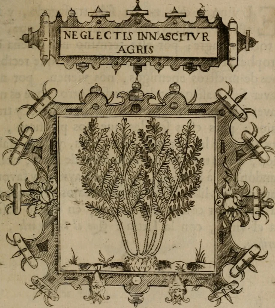 An illustration from Empresas morales, 1680, leaf 382