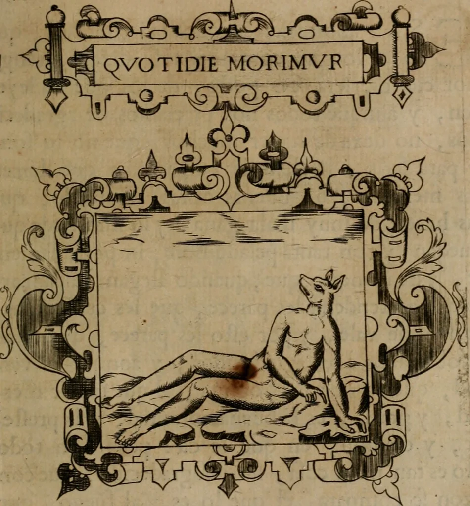 An illustration from Empresas morales, 1680, leaf 408