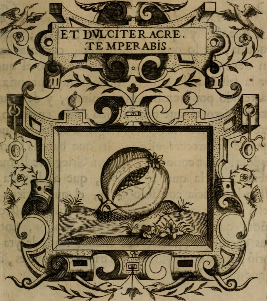 An illustration from Empresas morales, 1680, leaf 420