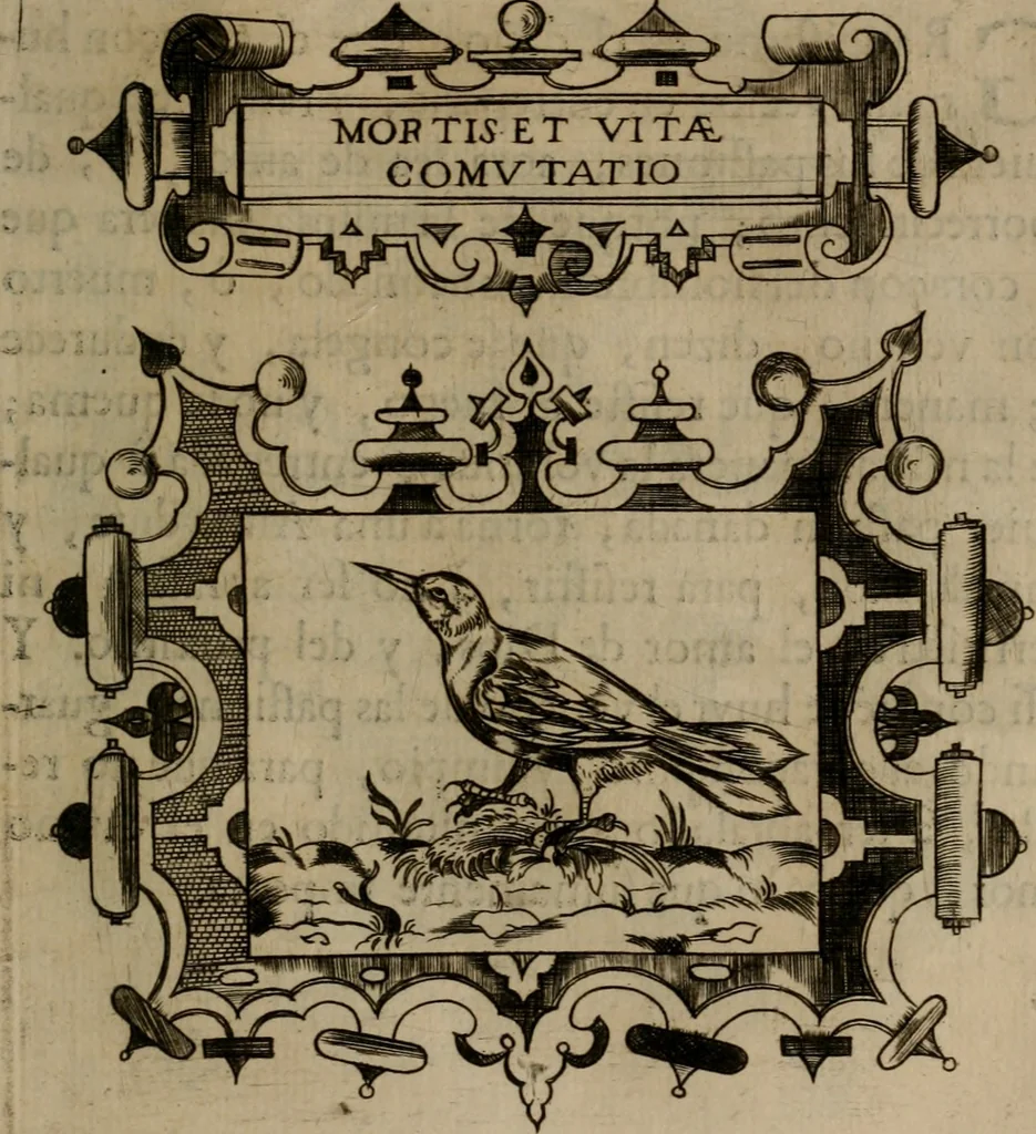 An illustration from Empresas morales, 1680, leaf 422