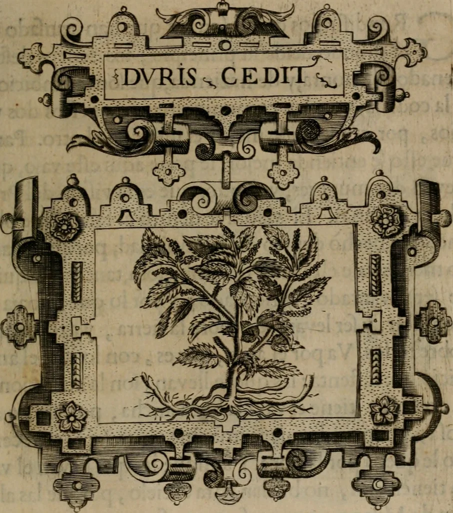 An illustration from Empresas morales, 1680, leaf 466
