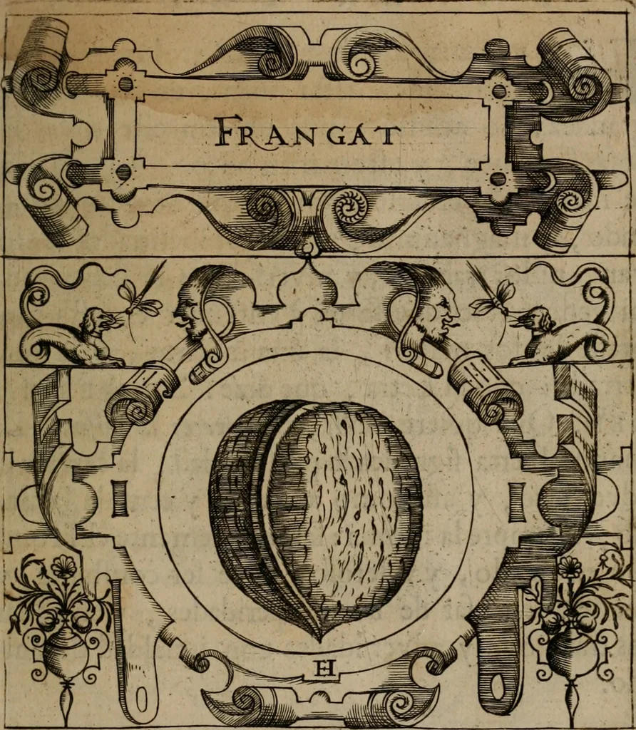 An illustration from Empresas morales, 1680, leaf 60