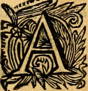 An illustration from Empresas Morales...Sacalas a lvz el doctor don Francisco de Borja.., 1680, leaf 14