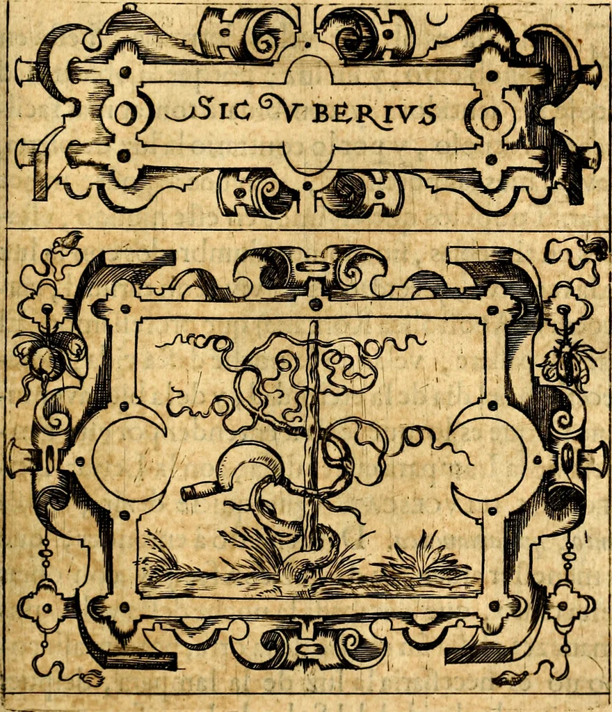 An illustration from Empresas Morales...Sacalas a lvz el doctor don Francisco de Borja.., 1680, leaf 144