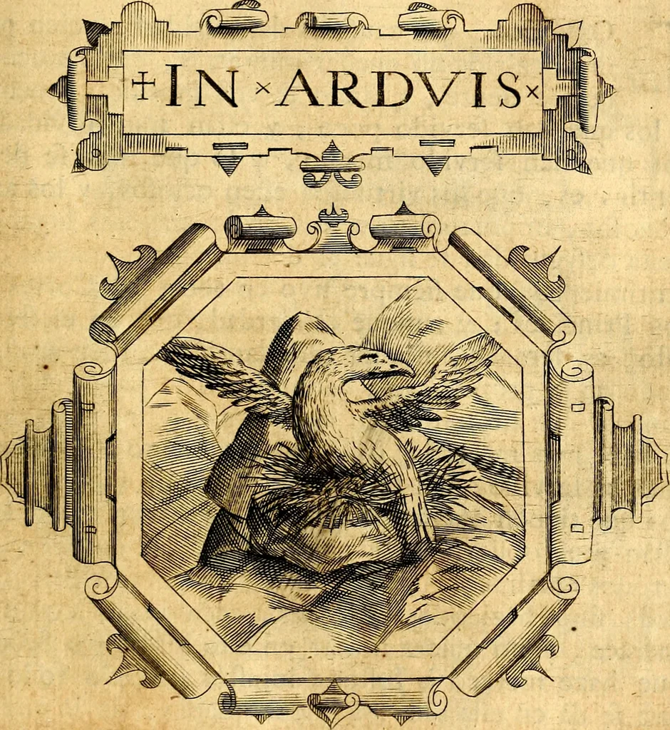 An illustration from Empresas Morales...Sacalas a lvz el doctor don Francisco de Borja.., 1680, leaf 226