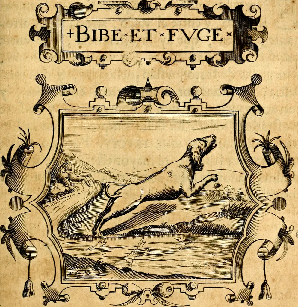 An illustration from Empresas Morales...Sacalas a lvz el doctor don Francisco de Borja.., 1680, leaf 232