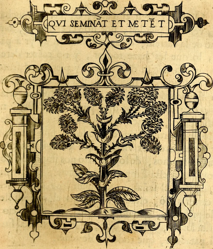 An illustration from Empresas Morales...Sacalas a lvz el doctor don Francisco de Borja.., 1680, leaf 330