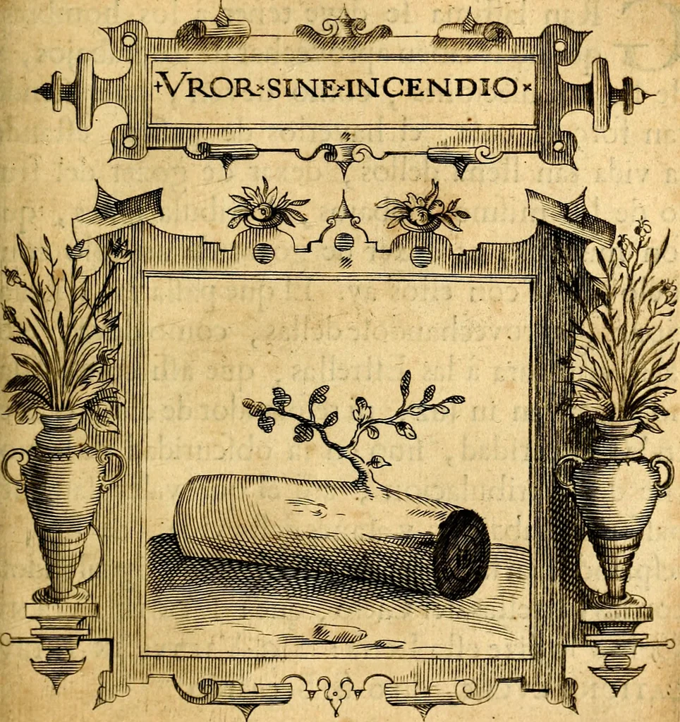 An illustration from Empresas Morales...Sacalas a lvz el doctor don Francisco de Borja.., 1680, leaf 338