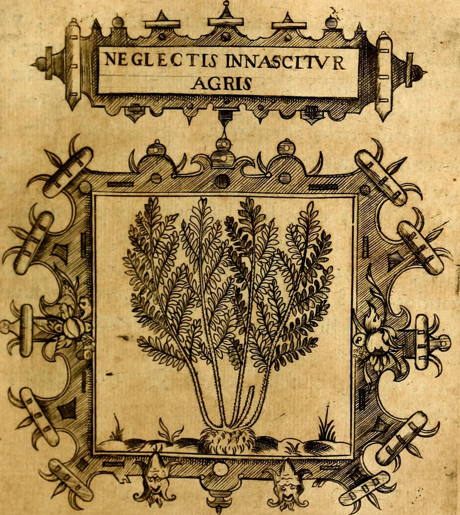 An illustration from Empresas Morales...Sacalas a lvz el doctor don Francisco de Borja.., 1680, leaf 378