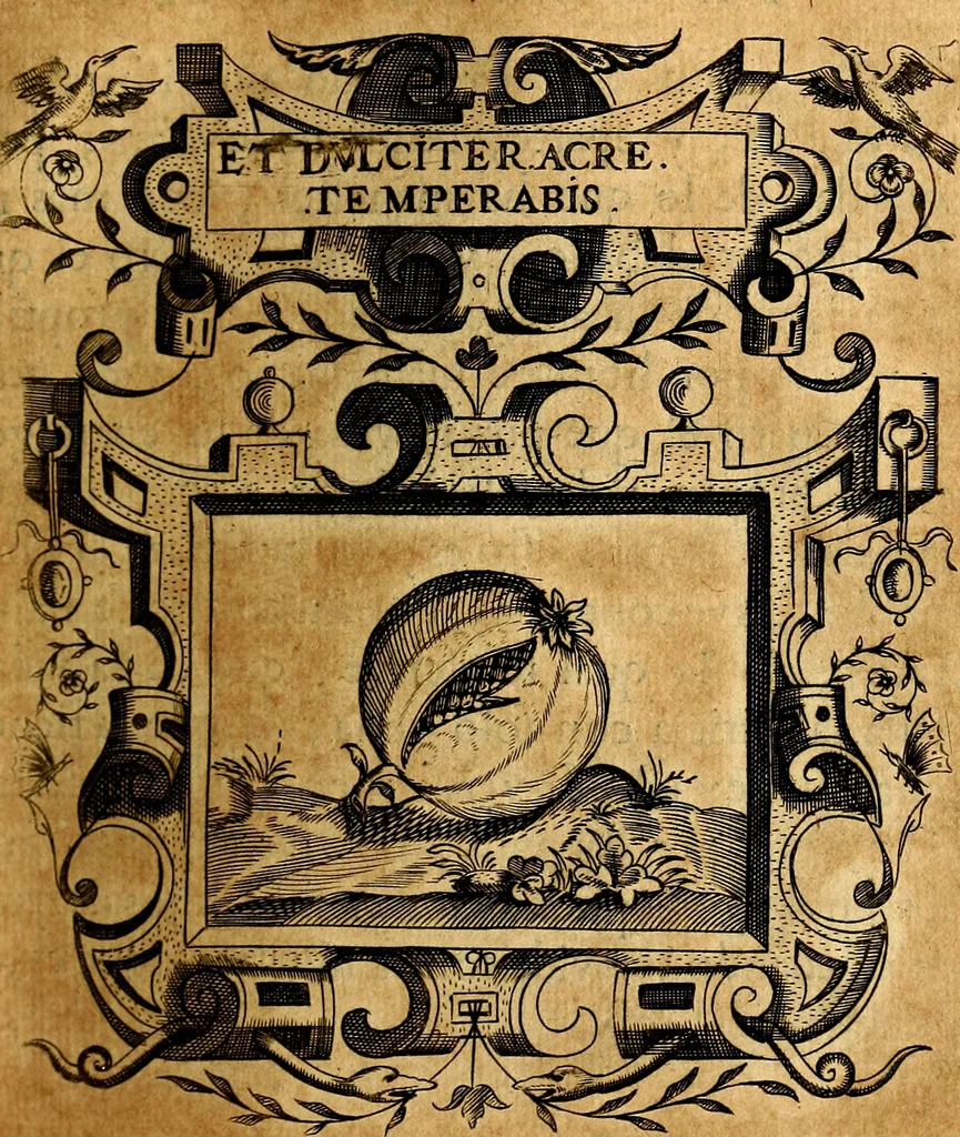 An illustration from Empresas Morales...Sacalas a lvz el doctor don Francisco de Borja.., 1680, leaf 416