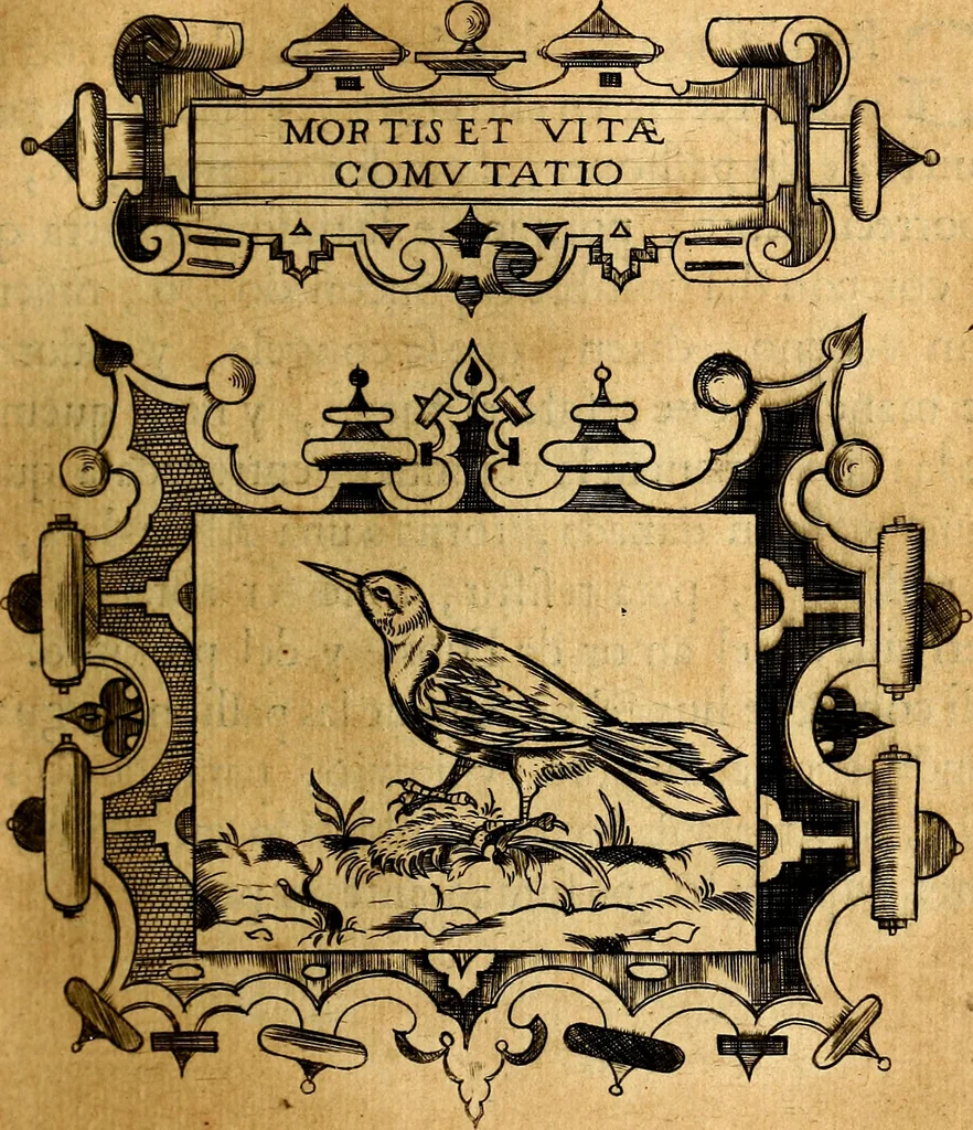 An illustration from Empresas Morales...Sacalas a lvz el doctor don Francisco de Borja.., 1680, leaf 418