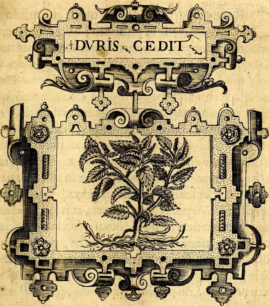 An illustration from Empresas Morales...Sacalas a lvz el doctor don Francisco de Borja.., 1680, leaf 462