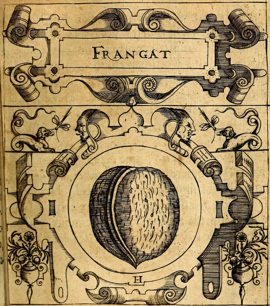 An illustration from Empresas Morales...Sacalas a lvz el doctor don Francisco de Borja.., 1680, leaf 60