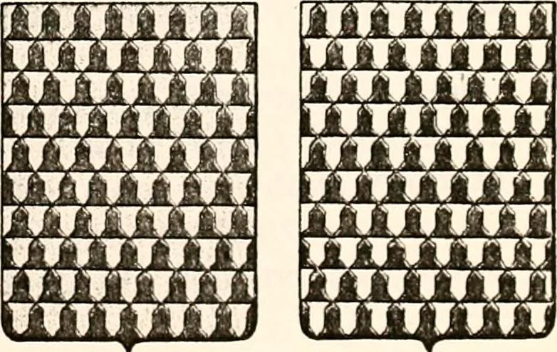 An illustration from Enciclopedia heráldica y genealógica hispano-americana, 1919, leaf 159