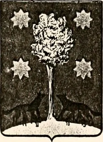 An illustration from Enciclopedia heráldica y genealógica hispano-americana, 1919, leaf 333