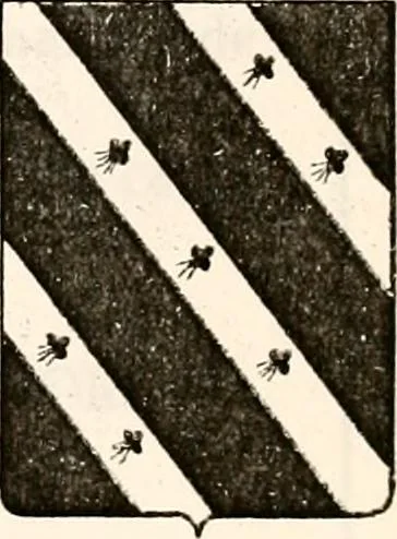 An illustration from Enciclopedia heráldica y genealógica hispano-americana, 1919, leaf 333