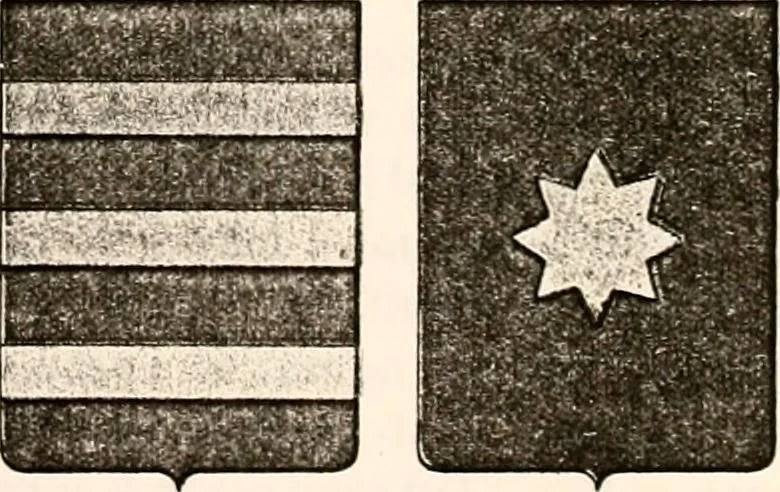 An illustration from Enciclopedia heráldica y genealógica hispano-americana, 1919, leaf 385