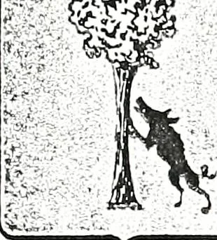 An illustration from Enciclopedia heráldica y genealógica hispano-americana, 1919, leaf 60