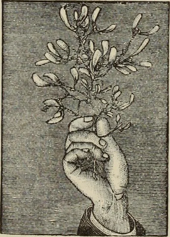 An illustration from An encyclopaedia of freemasonry and its kindred sciences : comprising the whole range of arts, sciences and literature as connected with the institution, 1887, leaf 1021