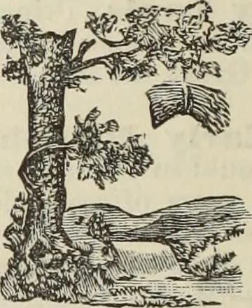 An illustration from An encyclopaedia of freemasonry and its kindred sciences : comprising the whole range of arts, sciences and literature as connected with the institution, 1887, leaf 995