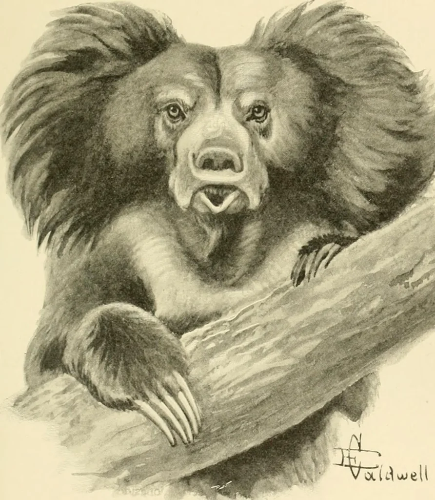 An illustration from The encyclopaedia of sport, 1897, leaf 107