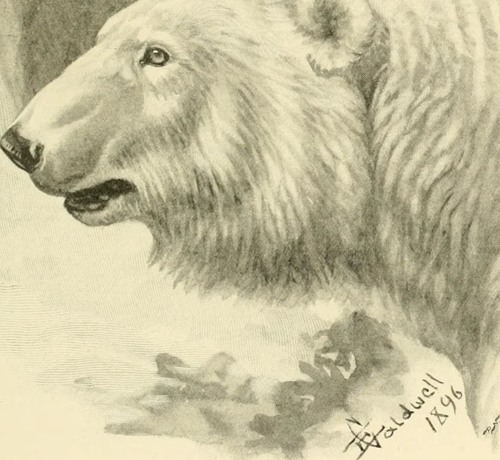 An illustration from The encyclopaedia of sport, 1897, leaf 109