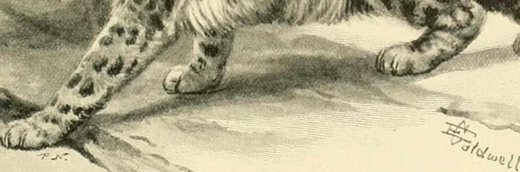 An illustration from The encyclopaedia of sport, 1897, leaf 123